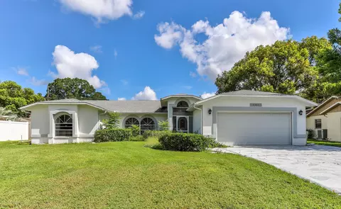 8401 Chatsworth St, Spring Hill, FL 34608 photo 1