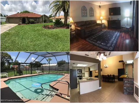 10042 Cara St, Spring Hill, FL 34608 photo 1