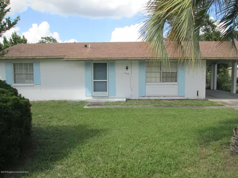 12477 Corrine Ave, Spring Hill, FL 34609 photo 1
