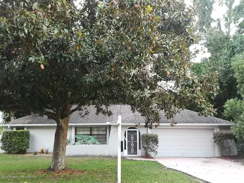 1451 Newhope Rd, Spring Hill, FL 34606 photo 1