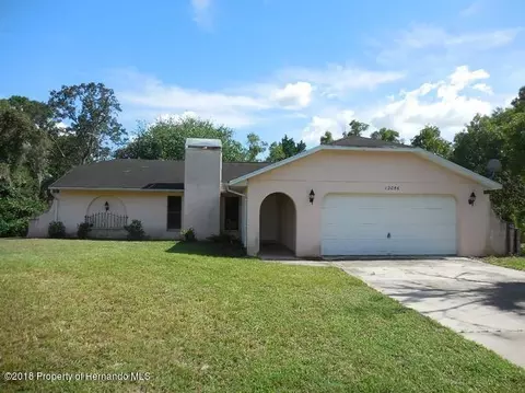 12056 Genter Dr, Spring Hill, FL 34609 photo 1