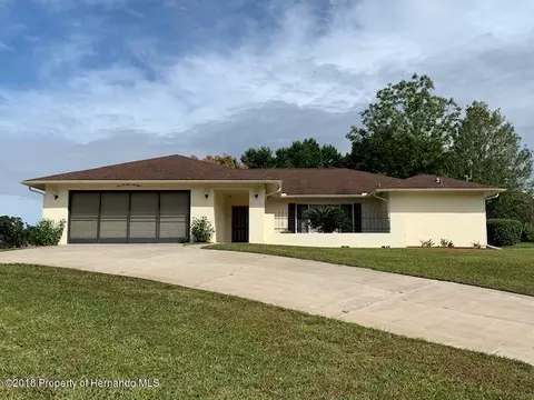 12368 Spreading Oak Dr, Spring Hill, FL 34609 photo 1