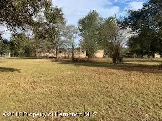 6050 Golddust, Spring Hill, FL 34609 photo 1