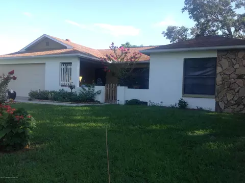 7352 Philatelic Dr, Spring Hill, FL 34606 photo 1