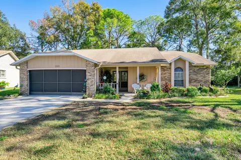 6505 Pine Meadows Dr, Spring Hill, FL 34606 photo 1
