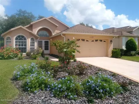 11107 Heathrow Ave, Spring Hill, FL 34609 photo 1