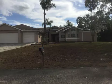 12510 Drayton Dr, Spring Hill, FL 34609 photo 1