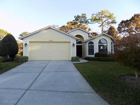 1020 Indigo Run Ct, Spring Hill, FL 34609 photo 1