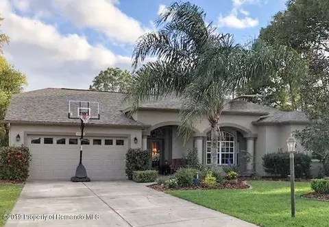 12046 Jade Ave, Spring Hill, FL 34609 photo 1