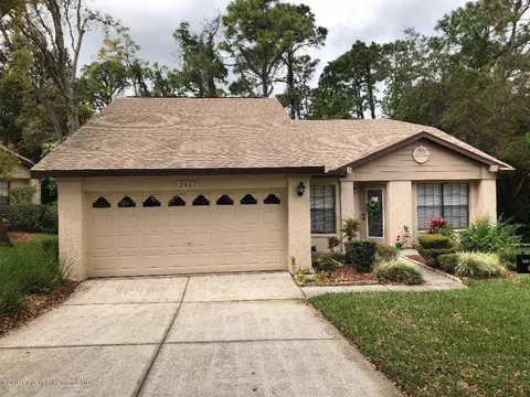 2667 Appleleaf Ct, Spring Hill, FL 34606 photo 1