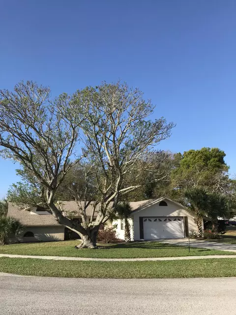 4471 Marlin Ct, Spring Hill, FL 34606 photo 1
