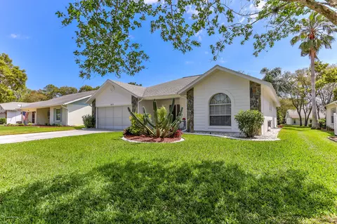 6525 Pine Meadows Dr, Spring Hill, FL 34606 photo 1