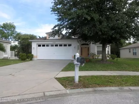 13336 Teaberry Ln, Spring Hill, FL 34609 photo 1