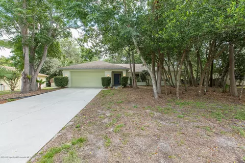 4252 Newton Rd, Spring Hill, FL 34606 photo 1