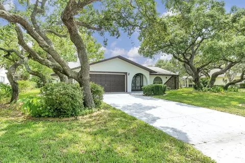 8264 Apple Orchard Rd, Spring Hill, FL 34606 photo 1