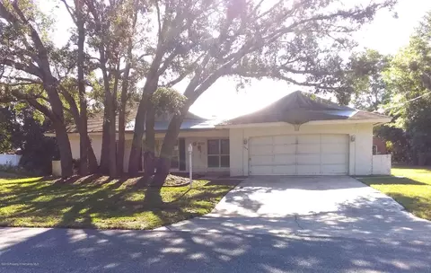 2514 Mandrell Ave, Spring Hill, FL 34608 photo 1
