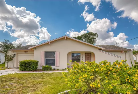 11054 Upton St, Spring Hill, FL 34606 photo 1