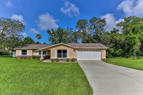 4199 Newton Rd, Spring Hill, FL 34606 photo 1