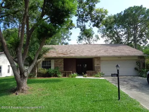 6568 Pine Meadows Dr, Spring Hill, FL 34606 photo 1