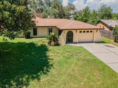 12207 Bluefield St, Spring Hill, FL 34609 photo 1