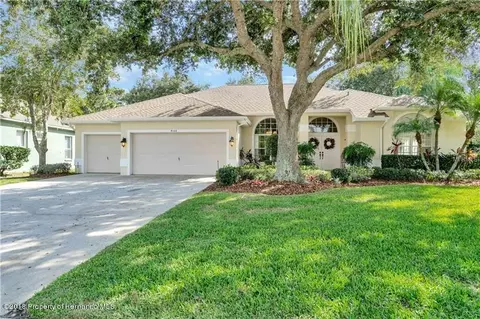 9108 Callaway Dr, Trinity, FL 34655 photo 1