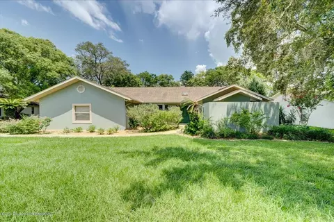 5230 Sandra Dr, Weeki Wachee, FL 34607 photo 1