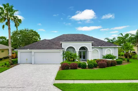3477 Indian River St, Spring Hill, FL 34609 photo 1