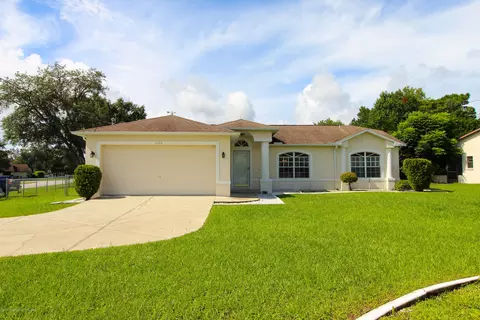 1165 Oldsmar Ave, Spring Hill, FL 34608 photo 1