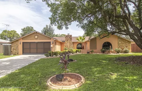 11078 Belltower St, Spring Hill, FL 34608 photo 1
