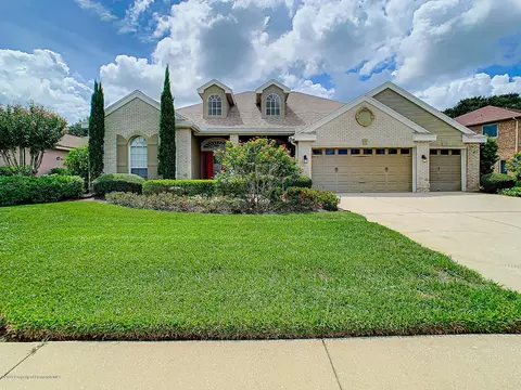9019 Callaway Dr, Trinity, FL 34655 photo 1