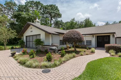 1319 Meredith Dr, Spring Hill, FL 34608 photo 1