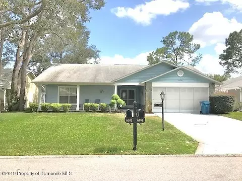 6394 Lost Tree Ln, Spring Hill, FL 34606 photo 1