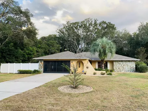 2436 Danforth Rd, Spring Hill, FL 34608 photo 1