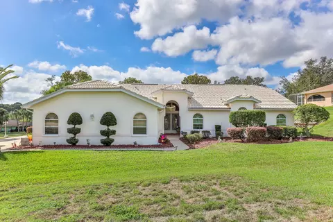 14063 Bruni Dr, Spring Hill, FL 34609 photo 1