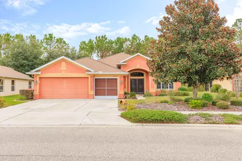 11610 New Haven Dr, Spring Hill, FL 34609 photo 1