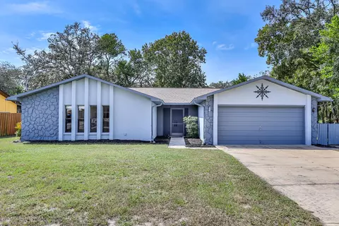 315 Galaxy Ave, Spring Hill, FL 34606 photo 1