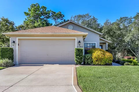 11382 Deercroft Ct, Spring Hill, FL 34609 photo 1