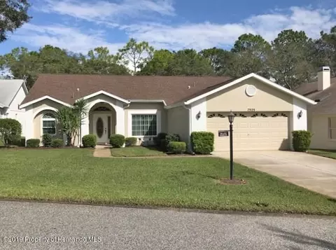 7323 Clearmeadow Dr, Spring Hill, FL 34606 photo 1
