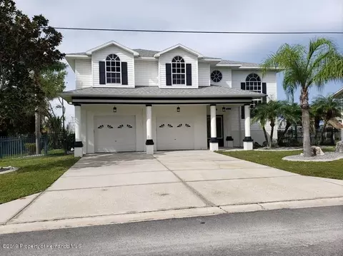 4139 Lily Dr, Hernando Beach, FL 34607 photo 1