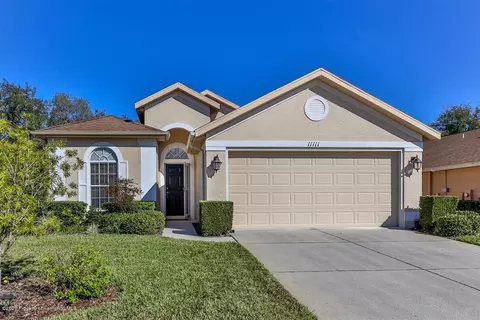 11111 Heathrow Ave, Spring Hill, FL 34609 photo 1