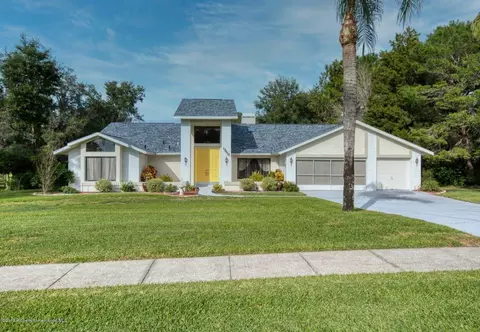 13013 Jocelyn Way, Spring Hill, FL 34609 photo 1