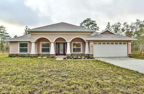 11181 Riddle Dr, Spring Hill, FL 34609 photo 1