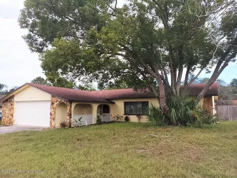 9647 Langan St, Spring Hill, FL 34606 photo 1