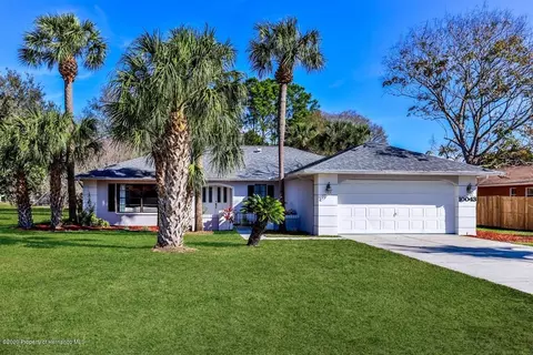 10043 Cara St, Spring Hill, FL 34608 photo 1