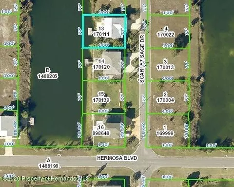 3325 Scarlet Sage Dr, Hernando Beach, FL 34607 photo 1