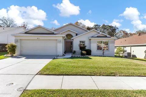 411 Quane Ave, Spring Hill, FL 34609 photo 1