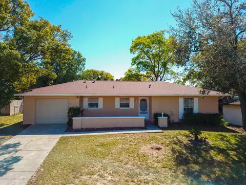 12336 Mayberry Rd, Spring Hill, FL 34609 photo 1