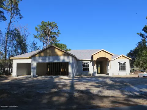 2248 Ring Rd, Spring Hill, FL 34609 photo 1