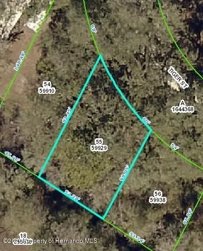 0 Tiger St, Ridge Manor, FL 33523