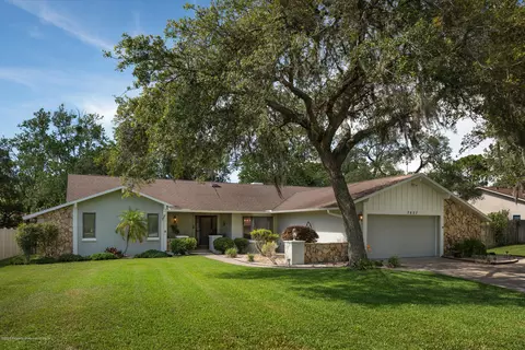 7827 Floral Dr, Weeki Wachee, FL 34607 photo 1